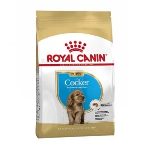 Royal Canin Cane Breed Cocker Junior