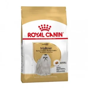 Royal Canin Cane Breed Maltese Adult