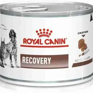 ROYAL CANIN CANE E GATTO VETERNINARY RECOVERY 195 GR