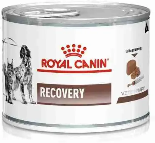 ROYAL CANIN CANE E GATTO VETERNINARY RECOVERY 195 GR