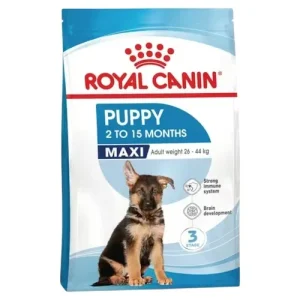 ROYAL CANIN Cane Maxi Puppy 3Kg