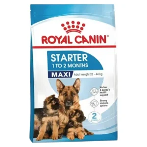 ROYAL CANIN Cane Maxi Starter 15Kg