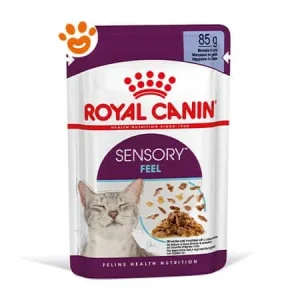 Royal Canin Cat Sensory Feel in Gelatina