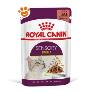 Royal Canin Cat Sensory Smell in Salsa