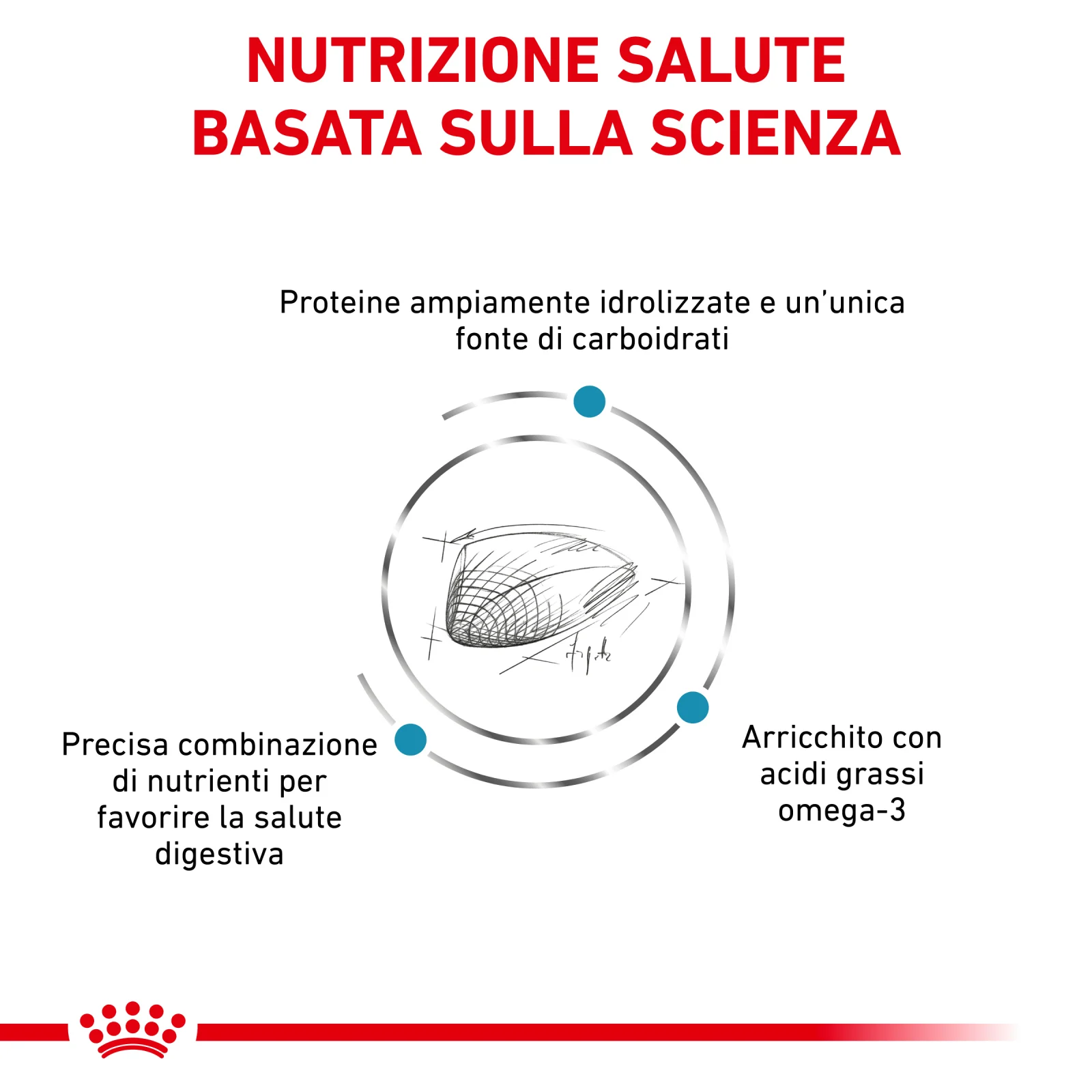 Royal Canin Cat Veterinary Diet Hypoallergenic - Image 2