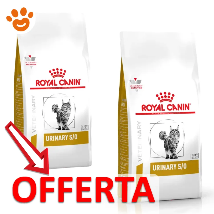 Royal Canin Cat VHN Urinary S/O - Image 2
