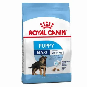 ROYAL CANIN CROCCHETTE CANE MAXI PUPPY 10 KG