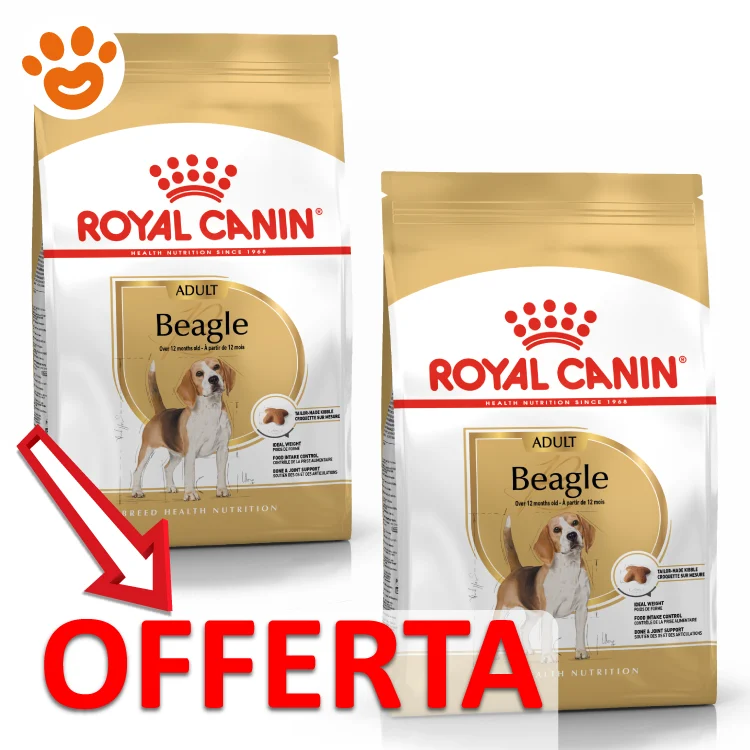Royal Canin Dog BHN Adult Beagle - Image 2