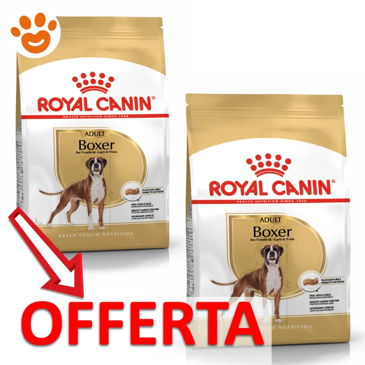 Royal Canin Dog BHN Adult Boxer - Image 2