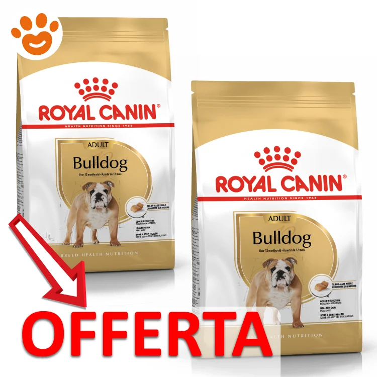 Royal Canin Dog BHN Adult Bulldog Inglese - Image 2