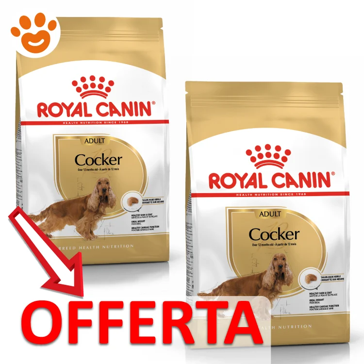 Royal Canin Dog BHN Adult Cocker - Image 2