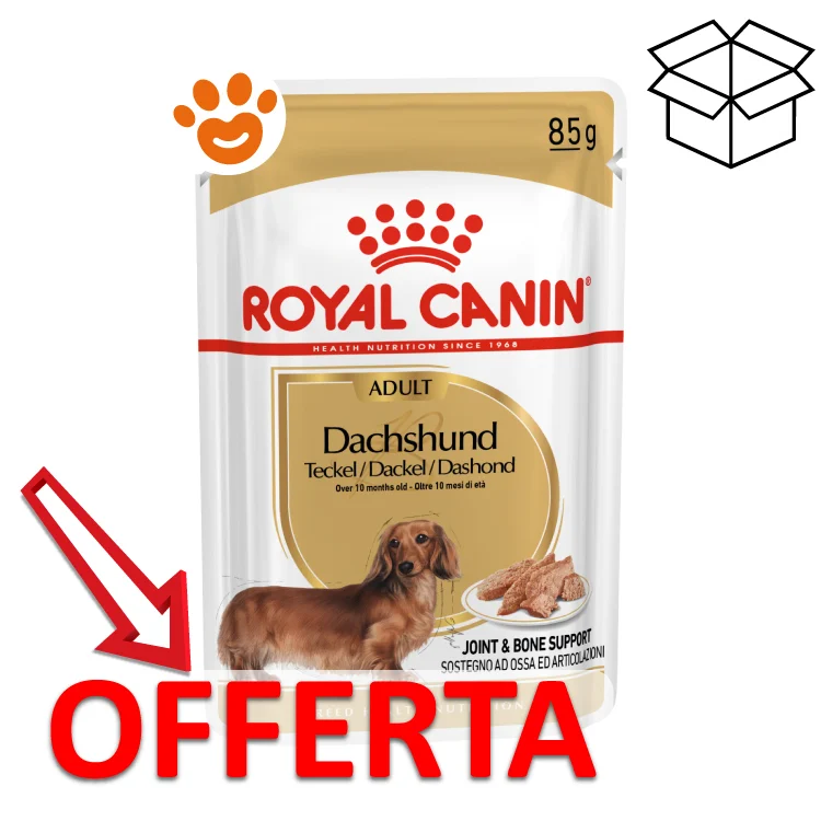 Royal Canin Dog BHN Adult Dachshund (Bassotto) - Image 2
