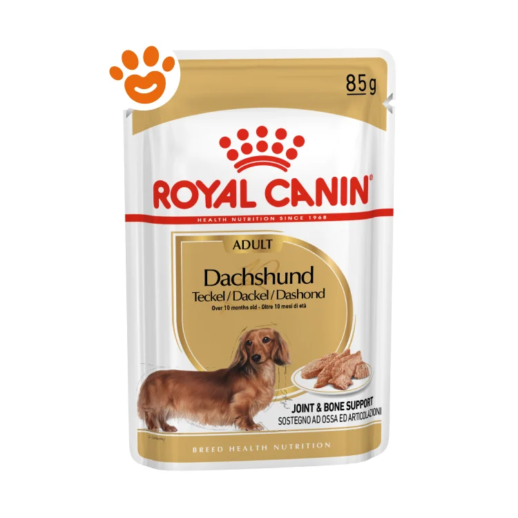 Royal Canin Dog BHN Adult Dachshund (Bassotto)