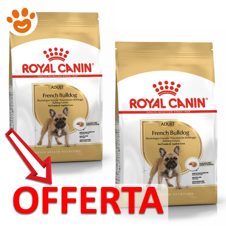 Royal Canin Dog BHN Adult French Bulldog (Bulldog Francese) - Image 2