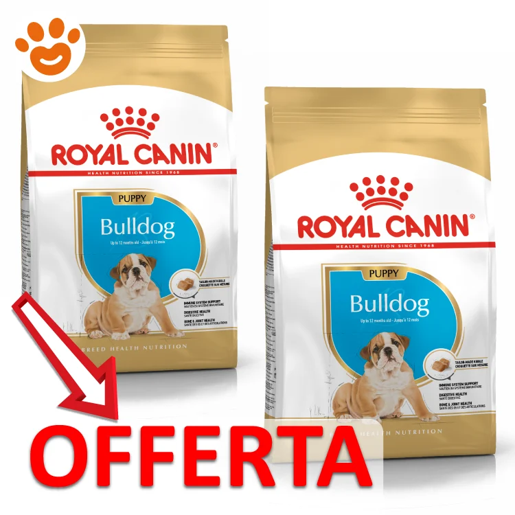 Royal Canin Dog BHN Puppy Bulldog Inglese - Image 2