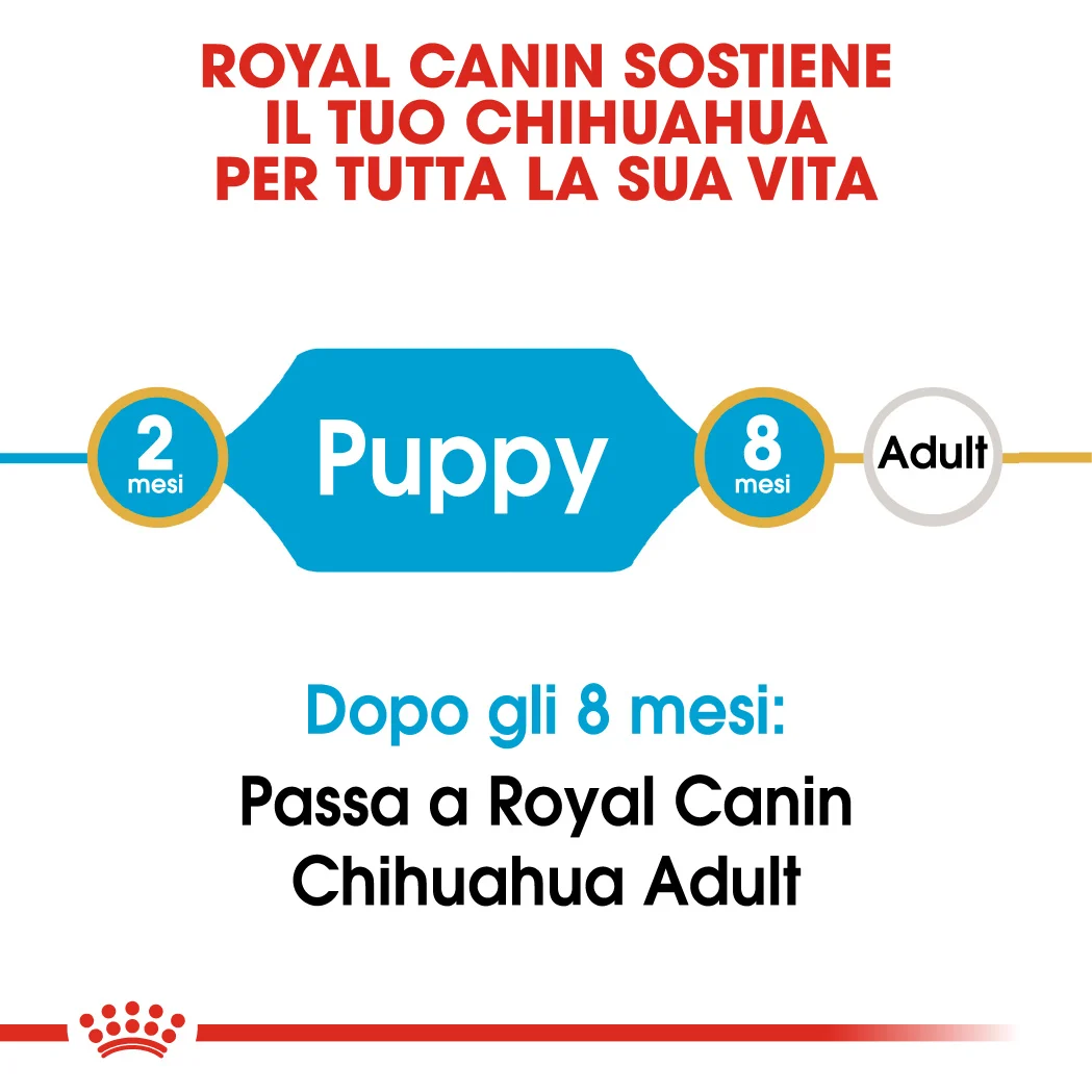 Royal Canin Dog BHN Puppy Chihuahua - Image 2