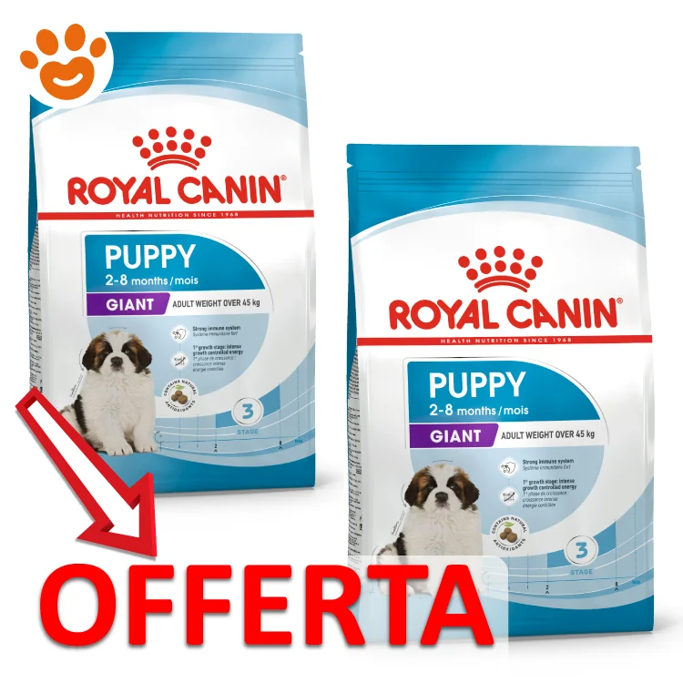 Royal Canin Dog SHN Giant Puppy - Image 2