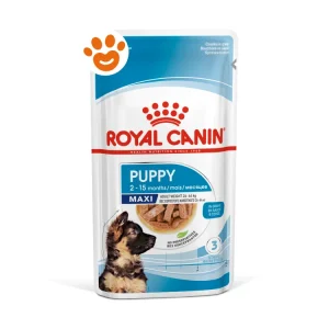 Royal Canin Dog SHN Maxi Puppy in Gravy