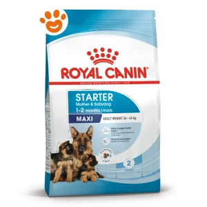 Royal Canin Dog SHN Maxi Starter Mother & Babydog
