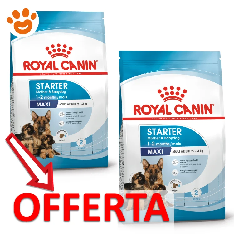 Royal Canin Dog SHN Maxi Starter Mother & Babydog - Image 2