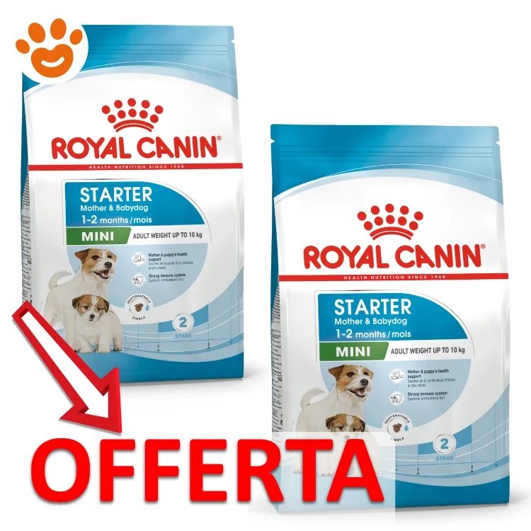 Royal Canin Dog SHN Mini Starter Mother & Babydog - Image 2