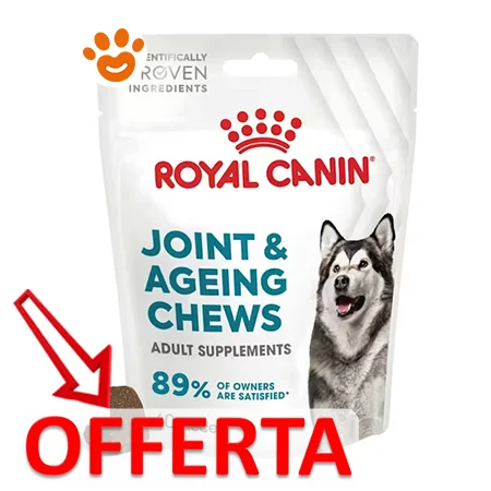 Royal Canin Dog Supplement Joint & Ageing Adult Snack per Cani - Image 2