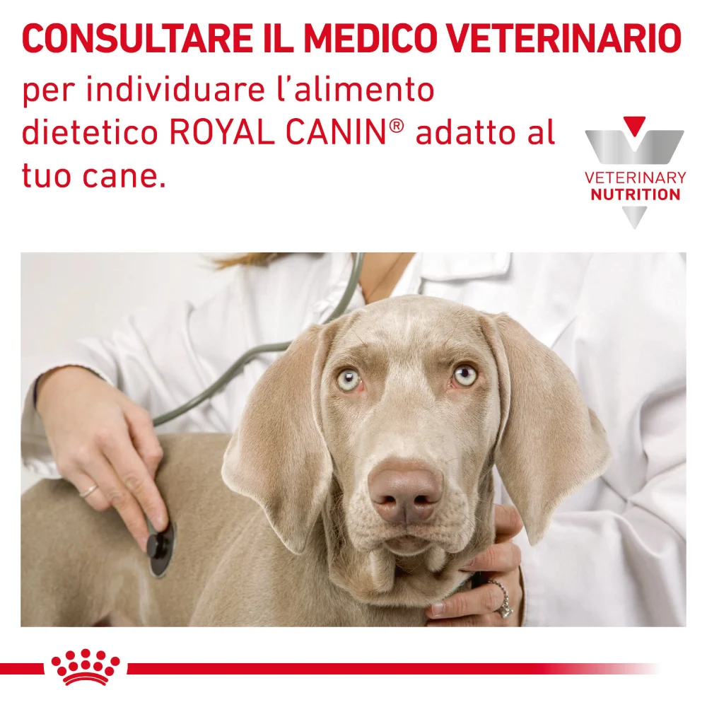 Royal Canin Dog VHN Gastrointestinal Low Fat Small - Image 2
