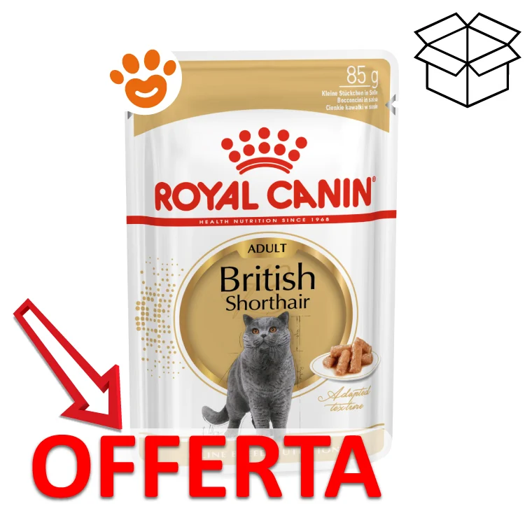 Royal Canin FBN Cat Adult British Shorthair - Image 2