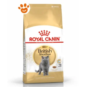 Royal Canin FBN Cat Adult British Shorthair