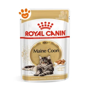 Royal Canin FBN Cat Adult Maine Coon