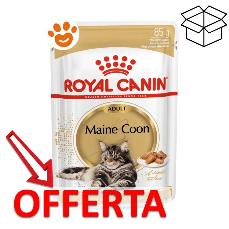 Royal Canin FBN Cat Adult Maine Coon - Image 2