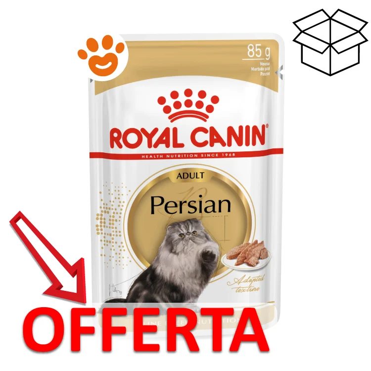 Royal Canin FBN Cat Adult Persian - Image 2