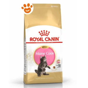 Royal Canin FBN Cat Kitten Maine Coon