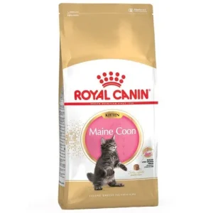 Royal Canin Fbn Crocchette Per kitten Maine Coon
