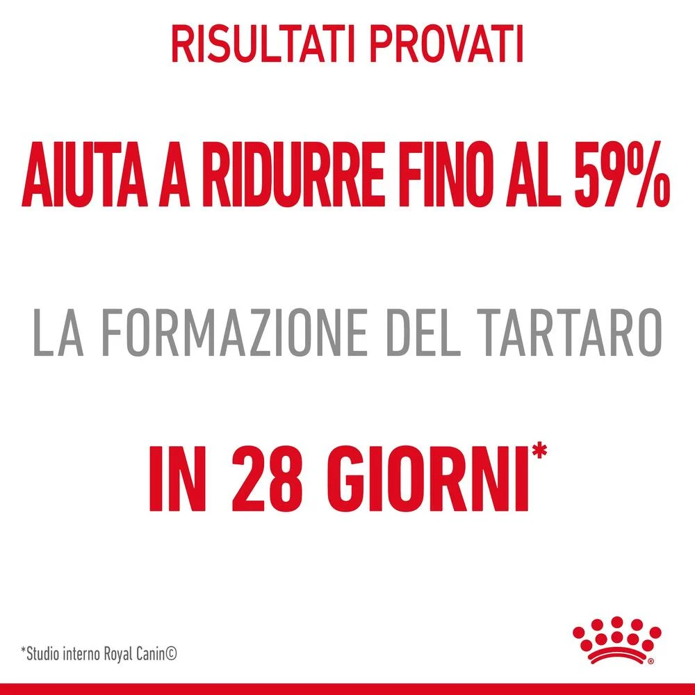 Royal Canin FCN Cat Dental Care - Image 2