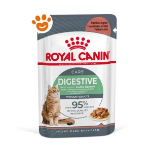 Royal Canin FCN Cat Digestive Care in Salsa Gravy