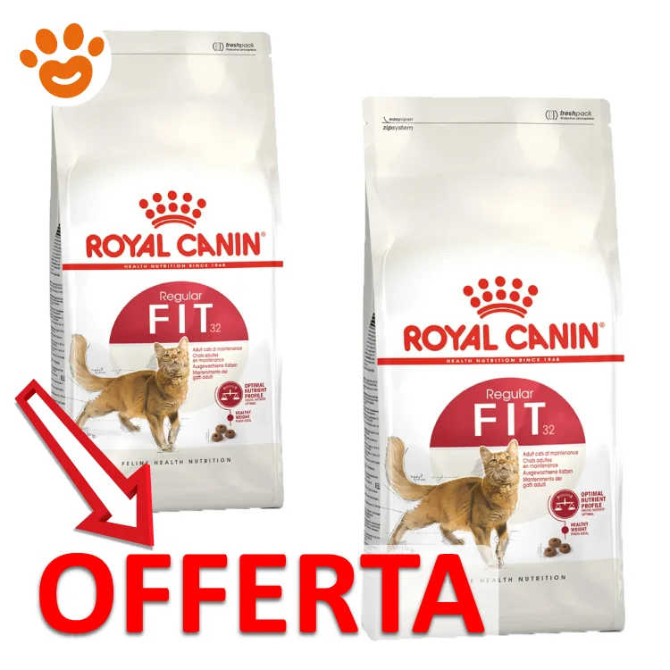 Royal Canin FHN Cat Fit 32 - Image 2