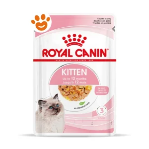Royal Canin FHN Cat Kitten in Gelatina