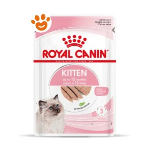 Royal Canin FHN Cat Kitten in Paté
