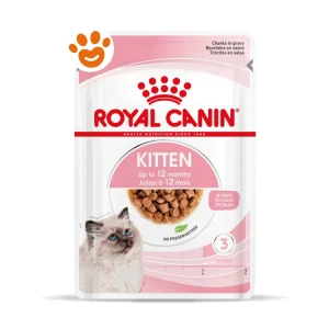 Royal Canin FHN Cat Kitten in Salsa