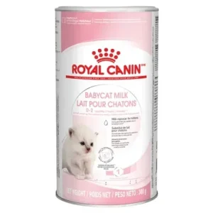 ROYAL CANIN Gatto Baby Milk 300gr