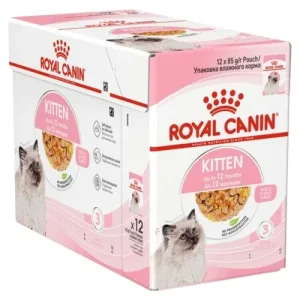 ROYAL CANIN Gatto Kitten in Jelly 12x85gr (Pack)