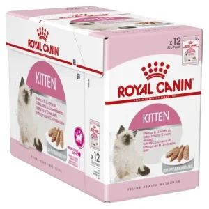 ROYAL CANIN Gatto Kitten Patè 12x85gr (Pack)