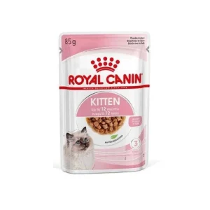Royal Canin Kitten Salsa Gattino Multipack 12x85G