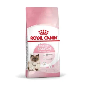 Royal Canin Mother E Babycat Secco Gatto
