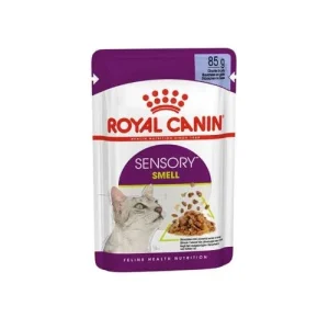Royal Canin Sensory Smell Jelly Gatto Adult Multipack 12x 85G