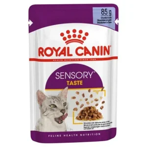 Royal Canin Sensory Taste Jelly Wet Cat Food 85G