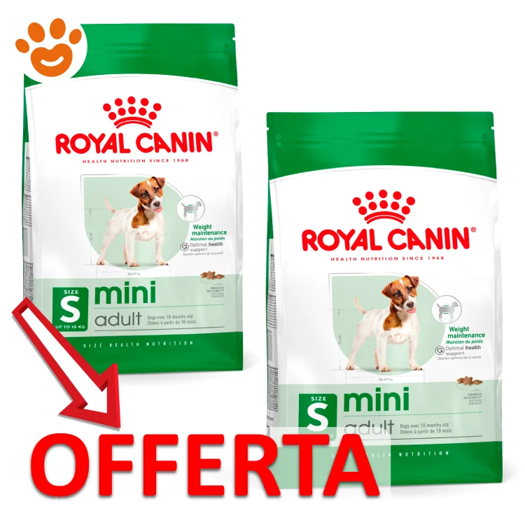 Royal Canin SHN Dog Mini Adult - Image 2