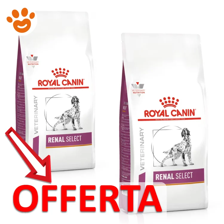 Royal Canin VHN Dog Veterinary Diet Renal Select - Image 2