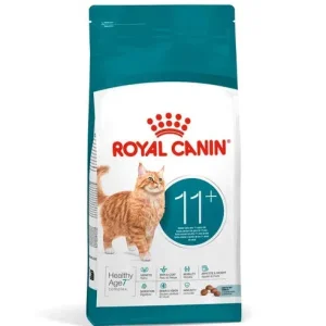 Royal Gatto Age 11+